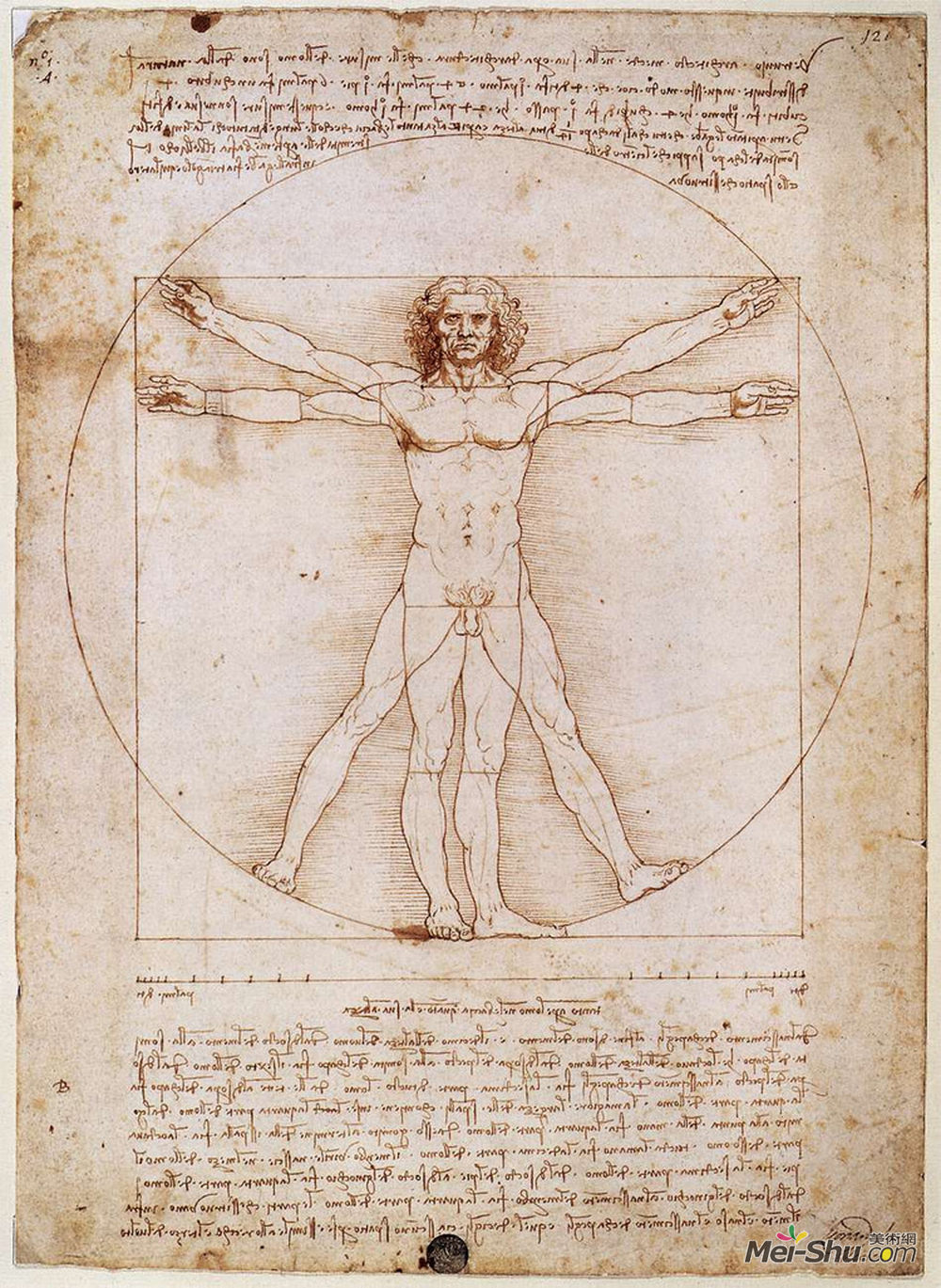  雷奥纳多·达·芬奇 Leonardo da Vinci 高清作品欣赏