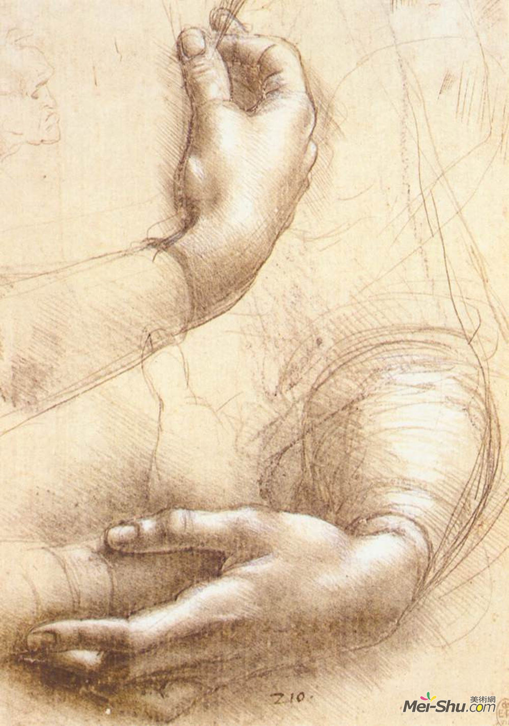  雷奥纳多·达·芬奇 Leonardo da Vinci 高清作品欣赏