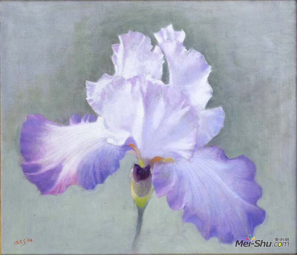 艾伦·希克勒(Aaron Shikler)高清作品《虹膜（其他）》