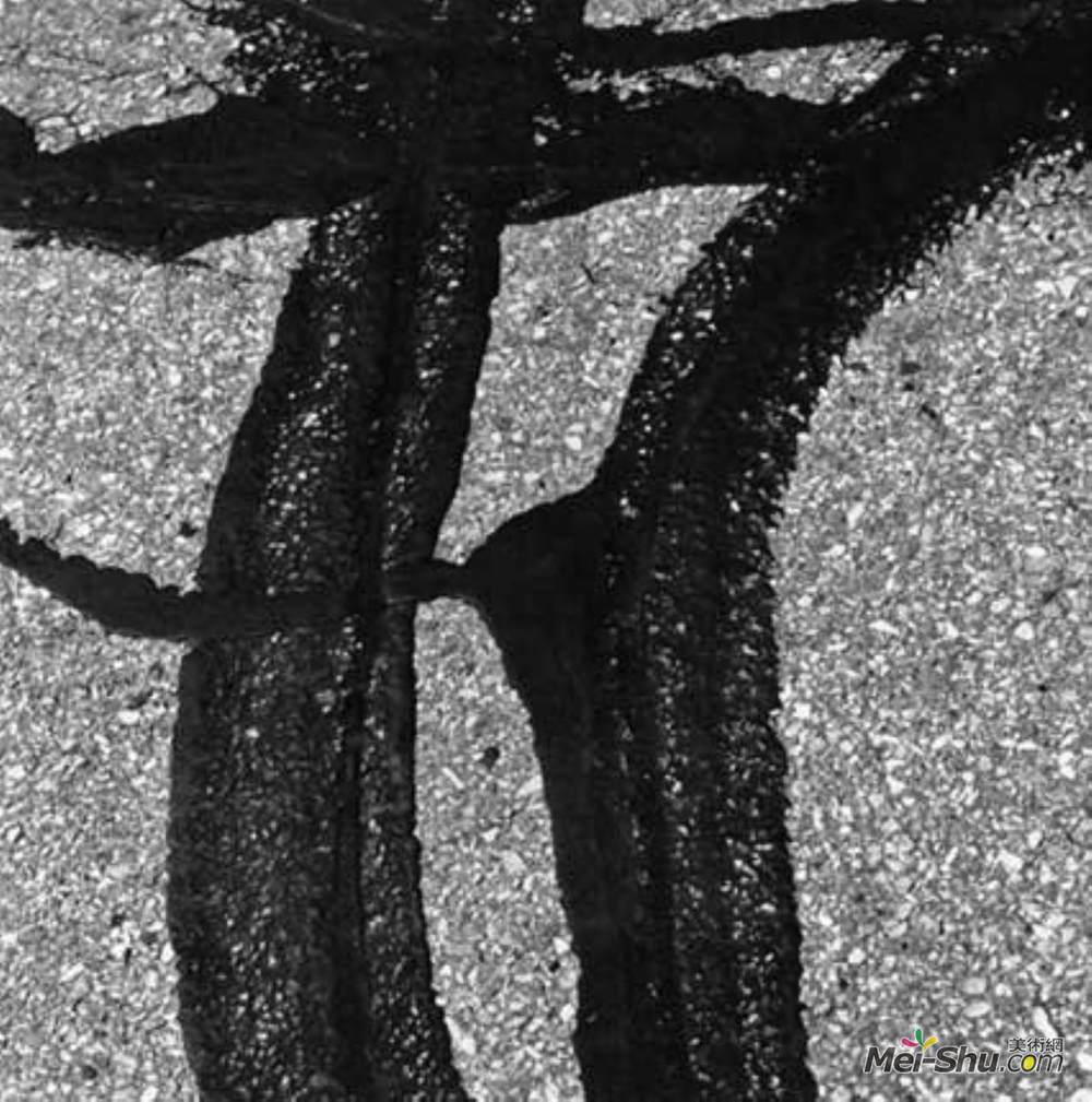 艾伦·希什金德(Aaron Siskind)高清作品《普罗维登斯92》
