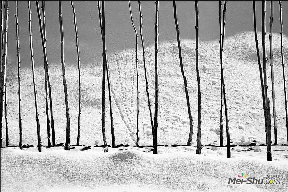 阿巴斯基亚罗斯塔米(Abbas Kiarostami)高清作品《白雪公主》