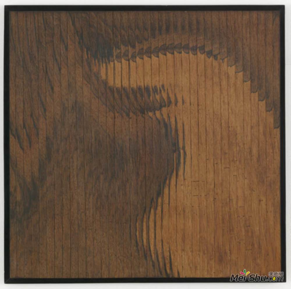 亚伯拉罕·帕拉特尼克(Abraham Palatnik)高清作品《进展91-A》