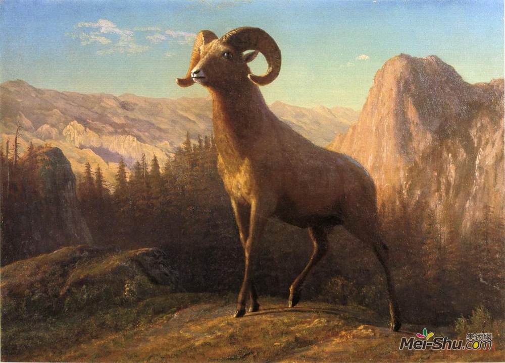 阿尔伯特·比尔施塔特(Albert Bierstadt)高清作品《在洛基山绵羊，绵羊，蒙大拿州》