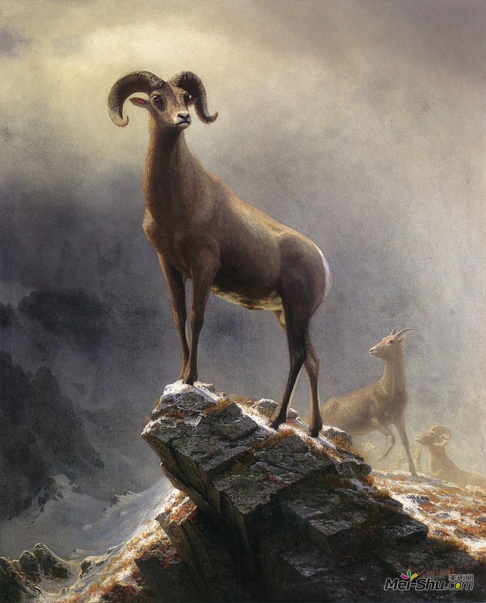 阿尔伯特·比尔施塔特(Albert Bierstadt)高清作品《落基山羊》