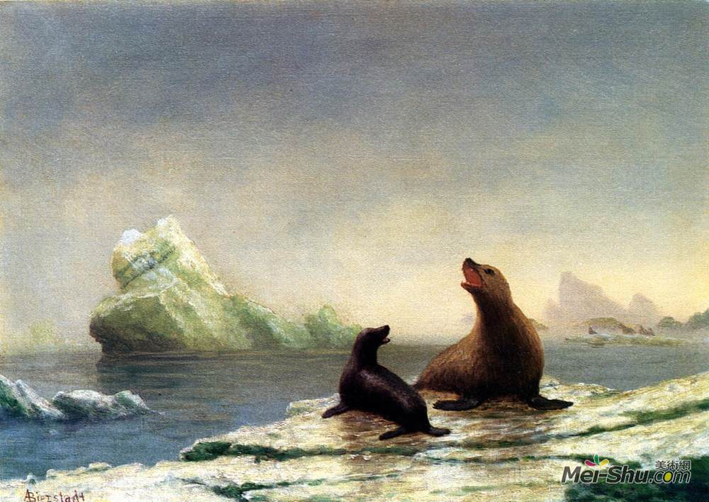 阿尔伯特·比尔施塔特(Albert Bierstadt)高清作品《海豹》