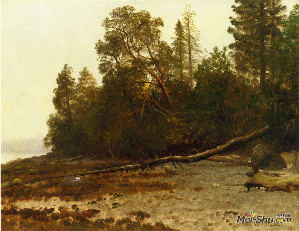 阿尔伯特·比尔施塔特(Albert Bierstadt)高清作品《倒下的树》
