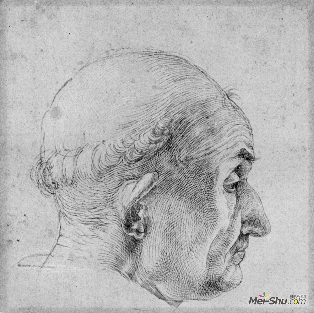 阿尔布雷希特·丢勒(Albrecht Durer)高清作品《教皇的头》