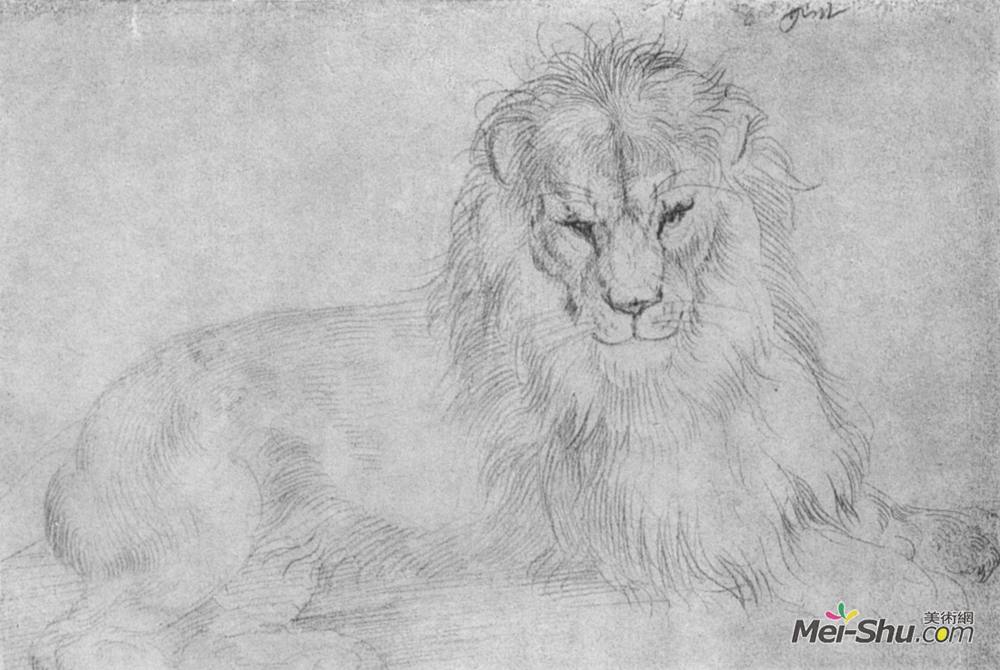 阿尔布雷希特·丢勒(Albrecht Durer)高清作品《狮子》
