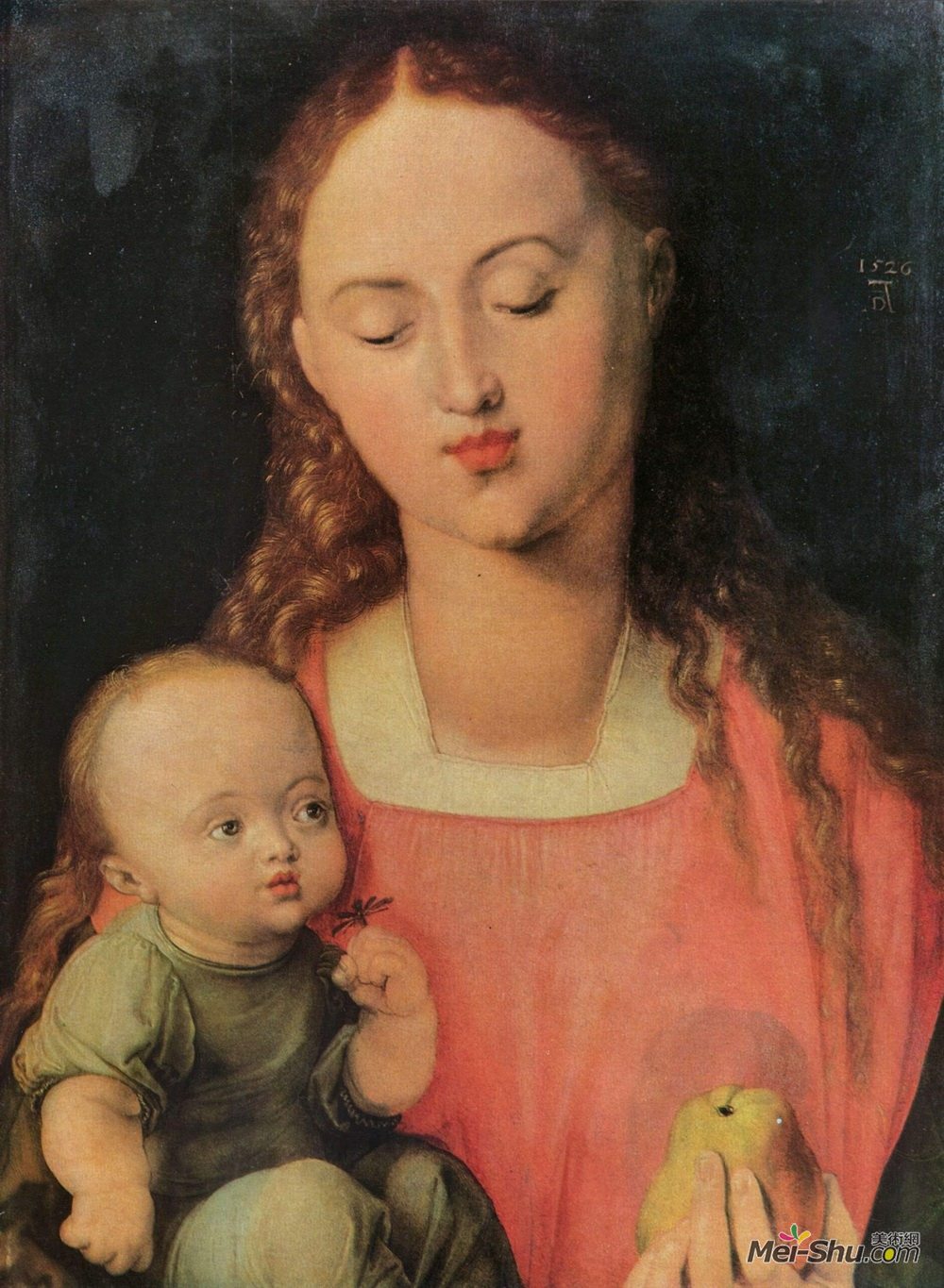 阿尔布雷希特·丢勒(Albrecht Durer)高清作品《玛丽亚带孩子》
