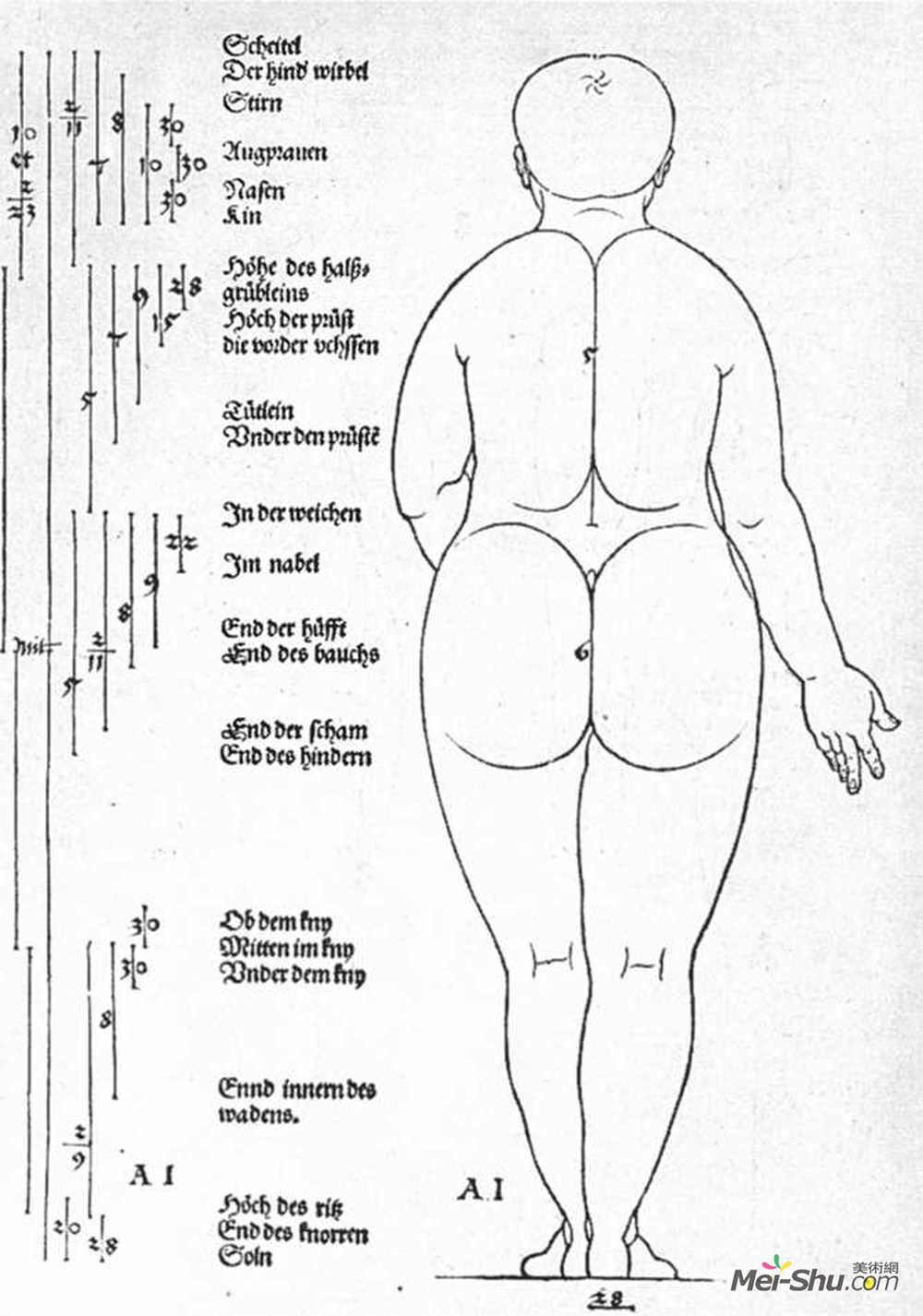 阿尔布雷希特·丢勒(Albrecht Durer)高清作品《女性的后视图》