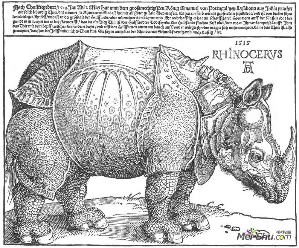 阿尔布雷希特·丢勒(Albrecht Durer)高清作品《犀牛》