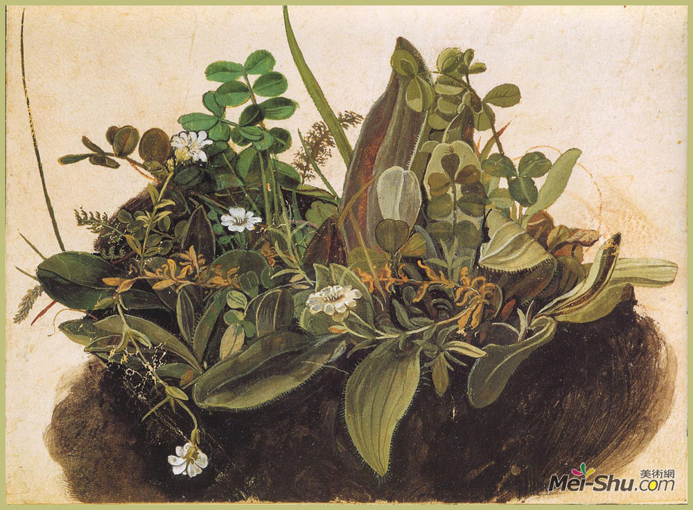 阿尔布雷希特·丢勒(Albrecht Durer)高清作品《小草丛生》