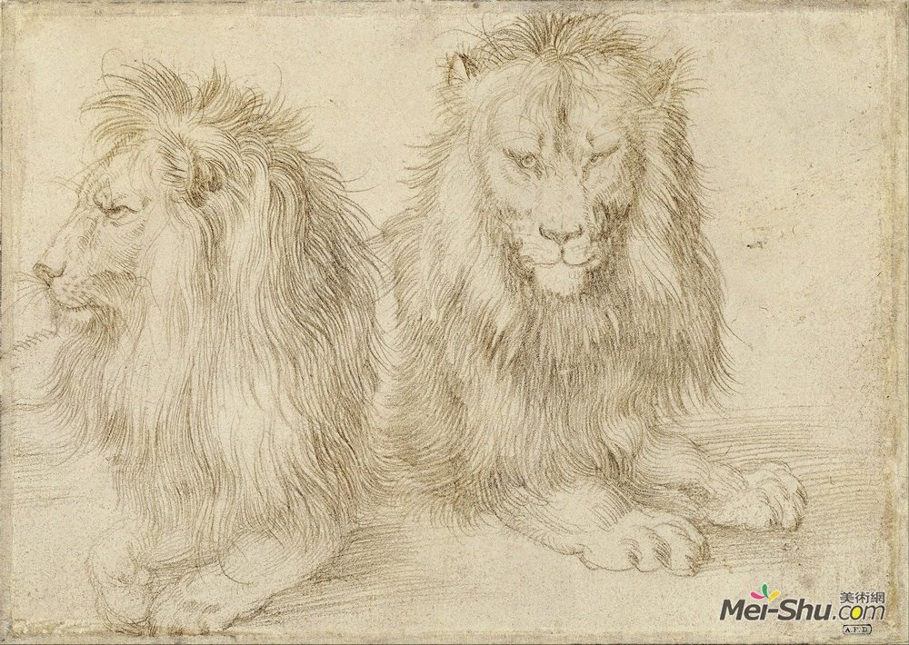 阿尔布雷希特·丢勒(Albrecht Durer)高清作品《两座狮子》