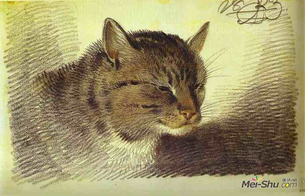 亚力山大奥洛夫斯基(Alexander Orlowski)高清作品《猫头》