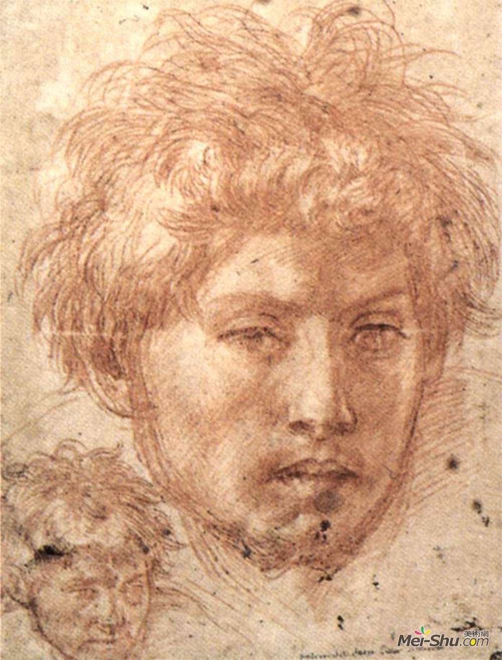 安德烈·德尔·萨托(Andrea del Sarto)高清作品《一名年轻男子的头》