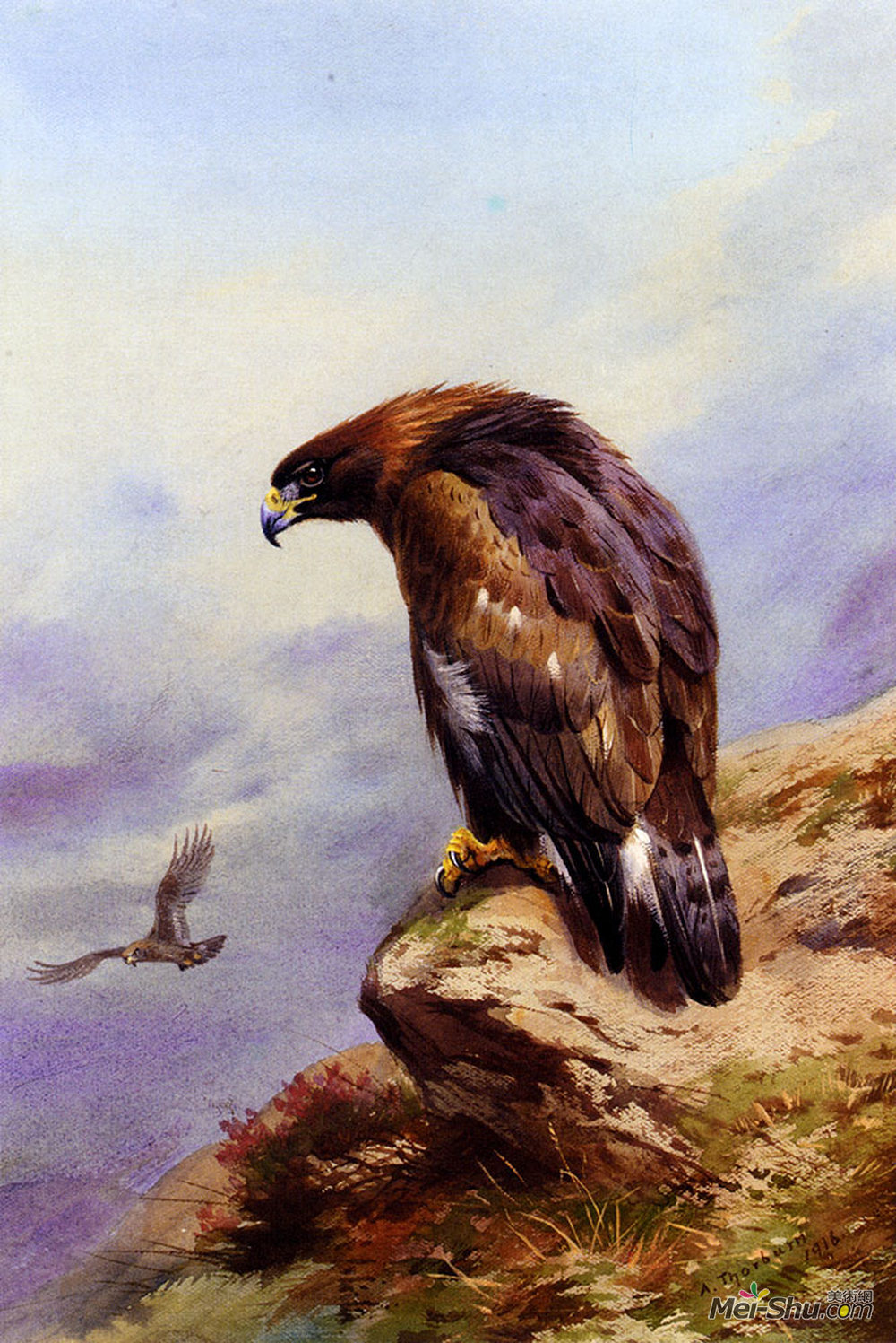 阿奇博尔德·索伯尔尼(Archibald Thorburn)高清作品《金雕》