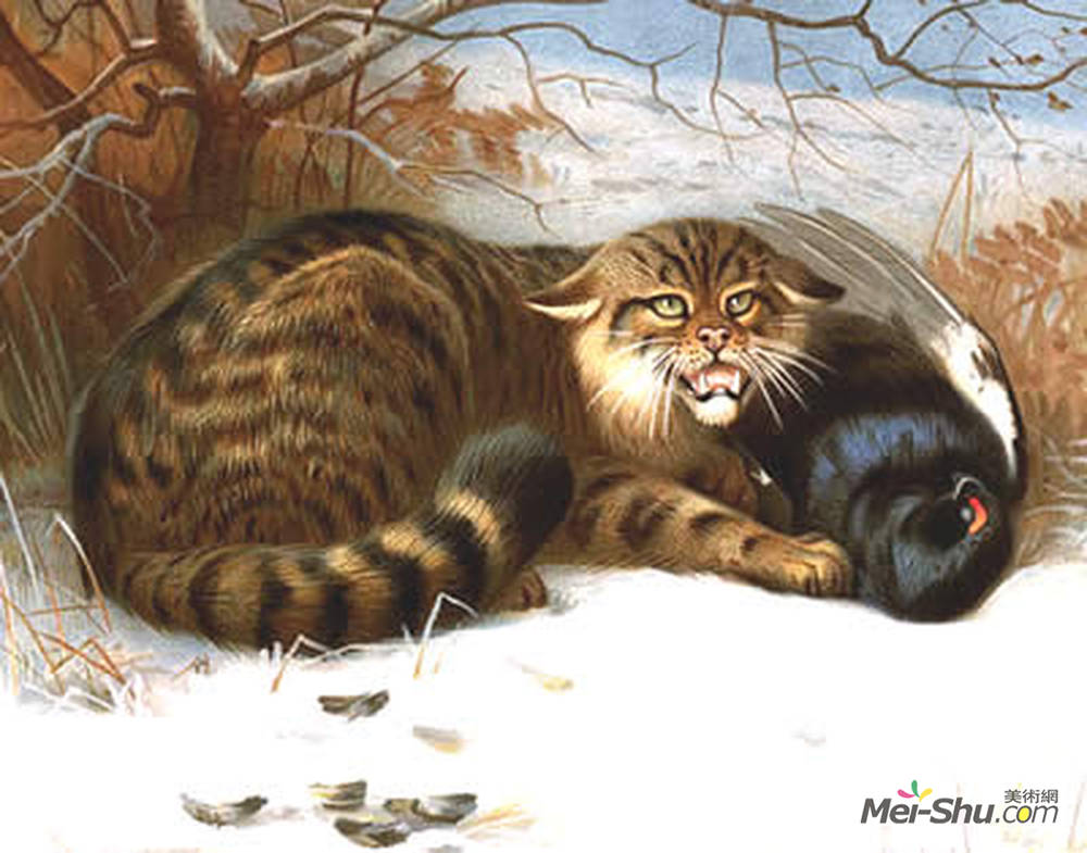 阿奇博尔德·索伯尔尼(Archibald Thorburn)高清作品《野猫》
