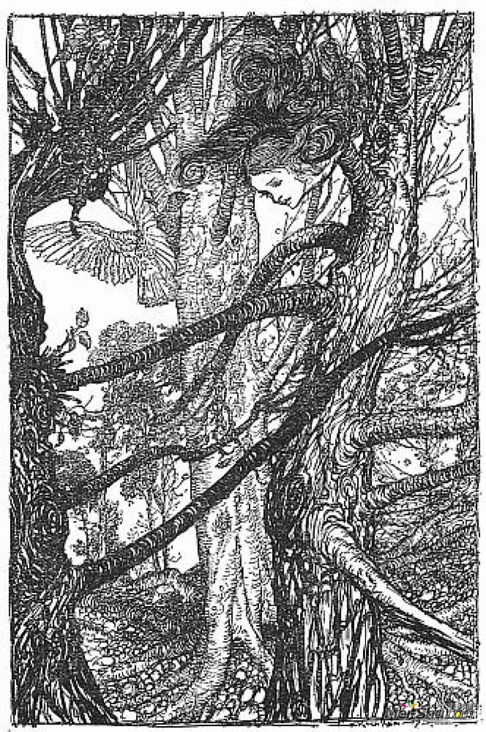 亚瑟·拉克姆(Arthur Rackham)高清作品《爱丽丝与鸽子》