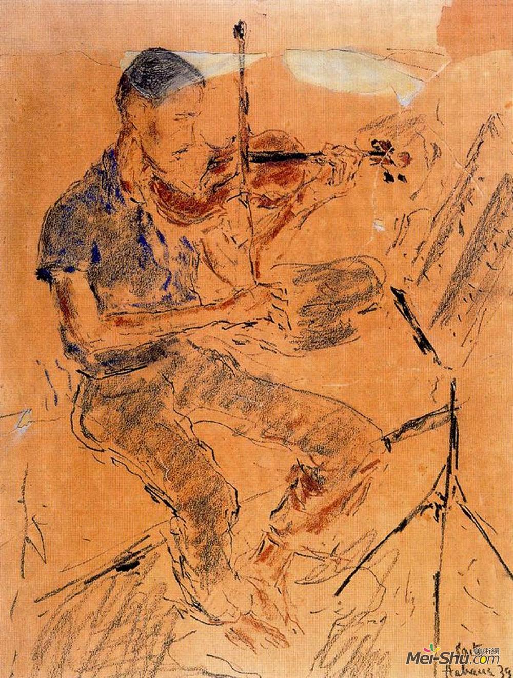 阿图罗苏托(Arturo Souto)高清作品《Leonel Alber&ú playing the violin》