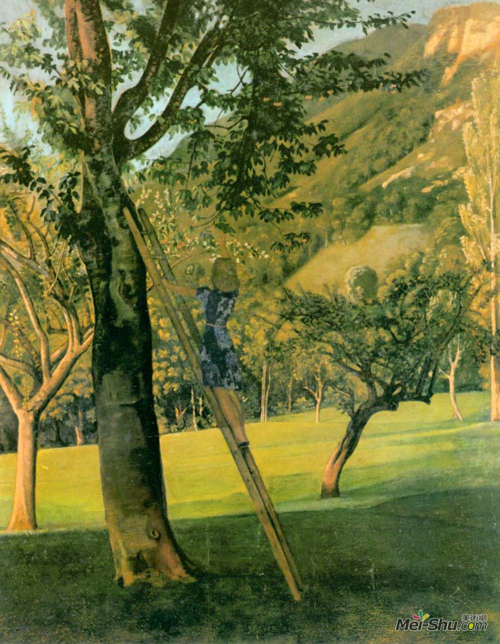 巴尔蒂斯(Balthus)高清作品《樱桃树》