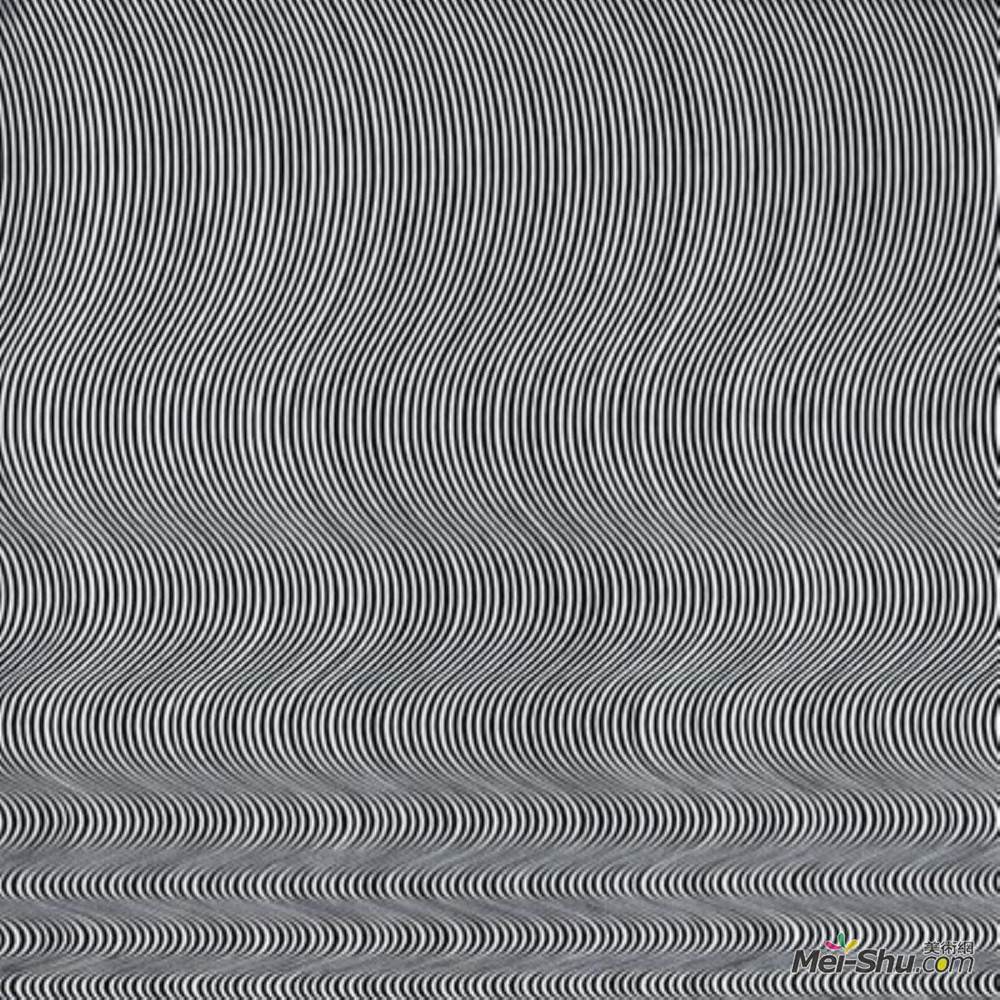 布里奇特·赖利(Bridget Riley)高清作品《跌倒》