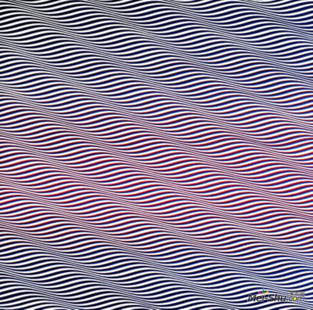 布里奇特·赖利(Bridget Riley)高清作品《白内障3》