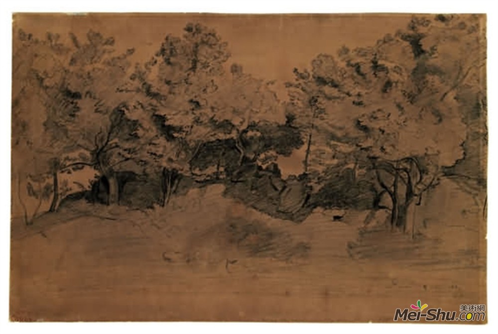 卡米耶·柯罗(Camille Corot)高清作品《鲁瓦亚景观，树木研究》