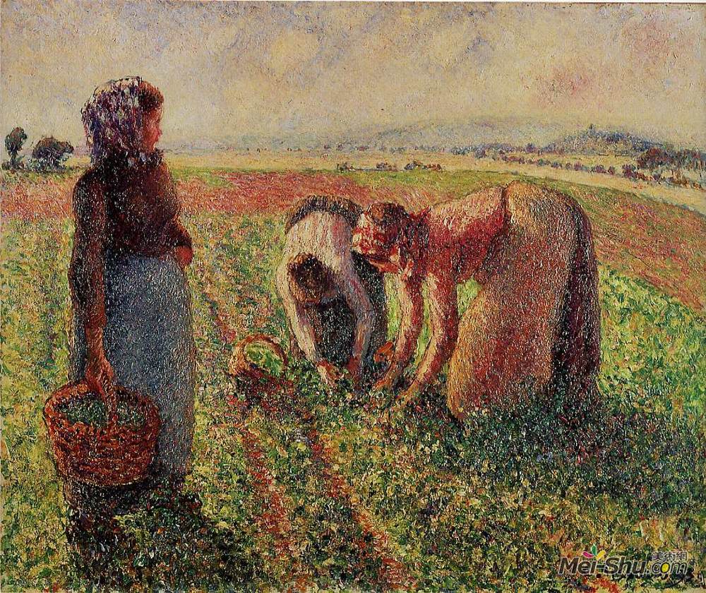 卡米耶·毕沙罗(Camille Pissarro)高清作品《摘豌豆》