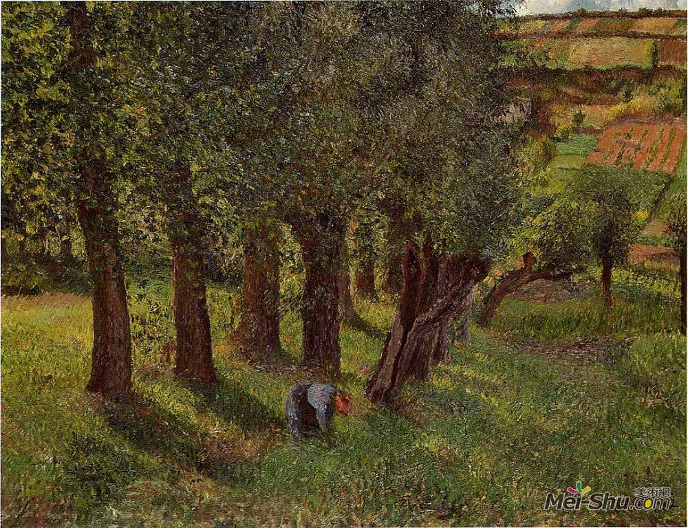 卡米耶·毕沙罗(Camille Pissarro)高清作品《蓬图瓦兹卷心菜》