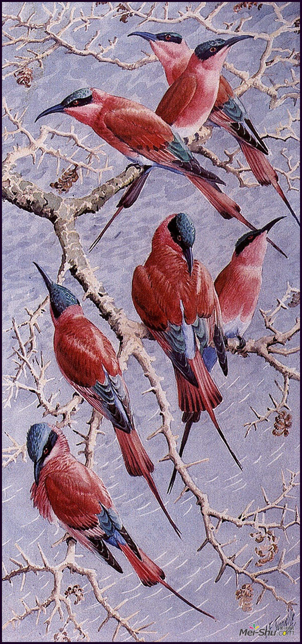 查尔斯·图尼克利夫(Charles Tunnicliffe)高清作品《胭脂红蜂食者》