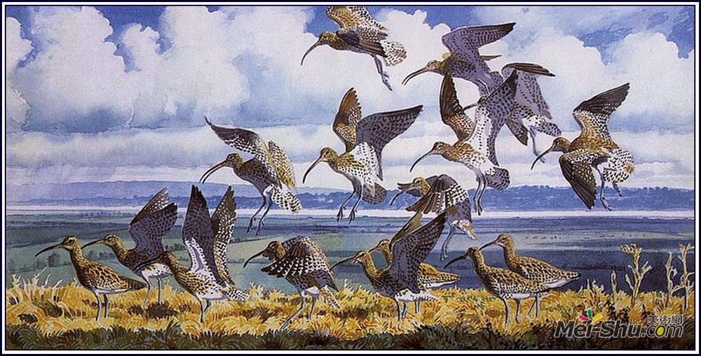 查尔斯·图尼克利夫(Charles Tunnicliffe)高清作品《弯道转弯》