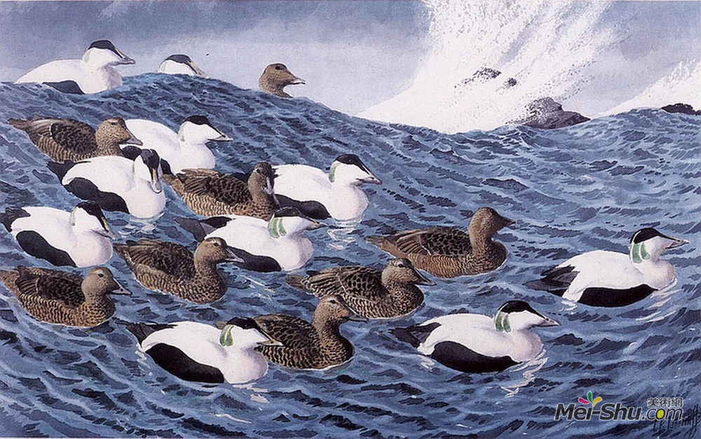 查尔斯·图尼克利夫(Charles Tunnicliffe)高清作品《滑翔机》