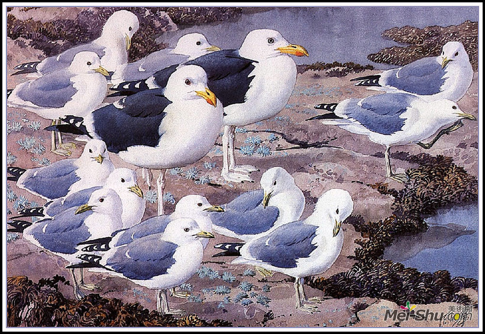 查尔斯·图尼克利夫(Charles Tunnicliffe)高清作品《鸥廊》