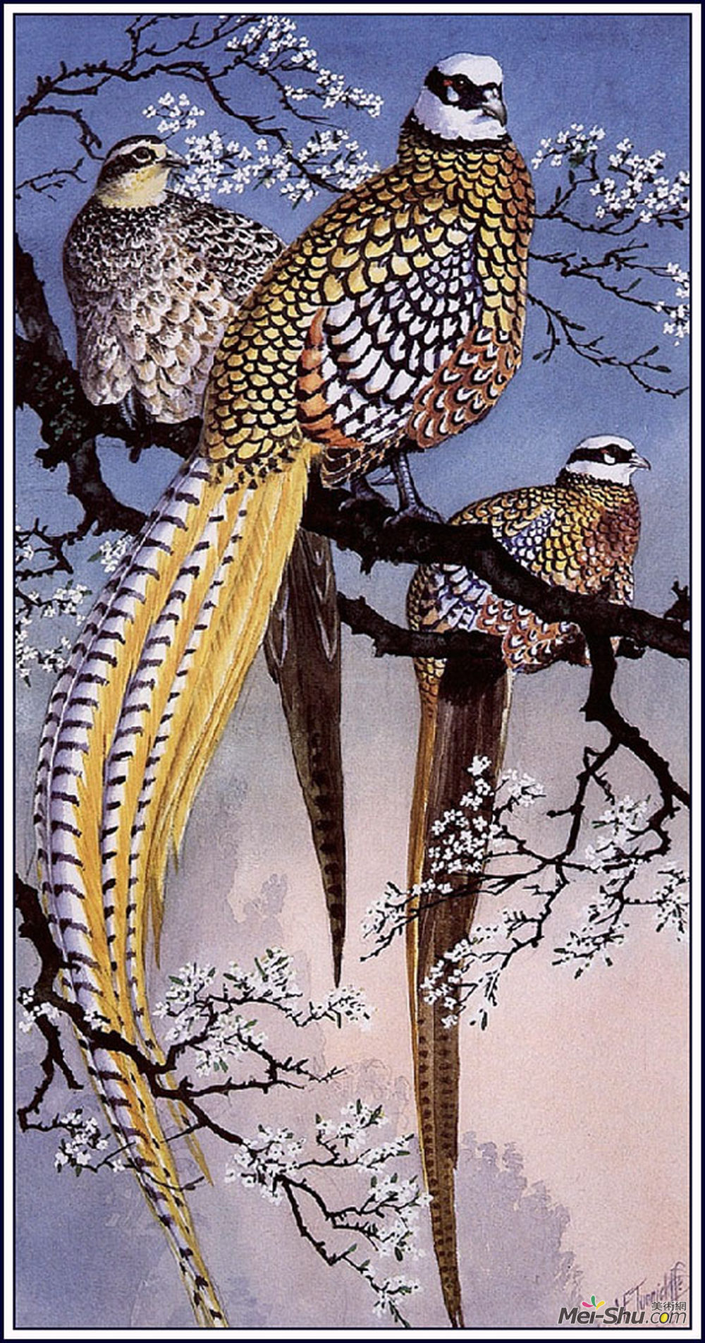 查尔斯·图尼克利夫(Charles Tunnicliffe)高清作品《里夫的野鸡》