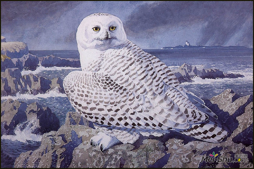 查尔斯·图尼克利夫(Charles Tunnicliffe)高清作品《雪枭》