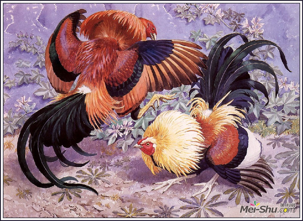 查尔斯·图尼克利夫(Charles Tunnicliffe)高清作品《扒公鸡》