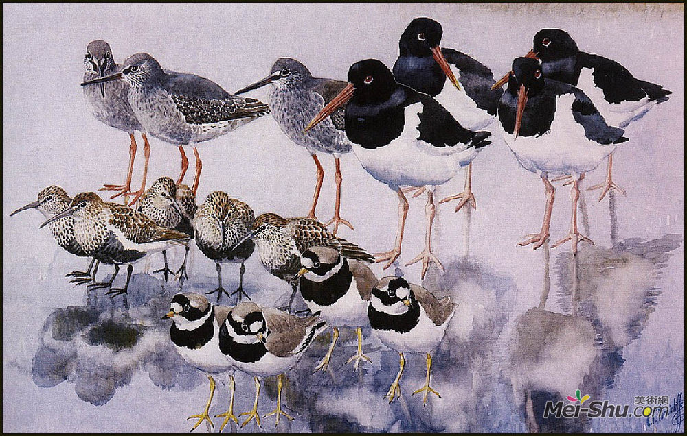 查尔斯·图尼克利夫(Charles Tunnicliffe)高清作品《水反射》
