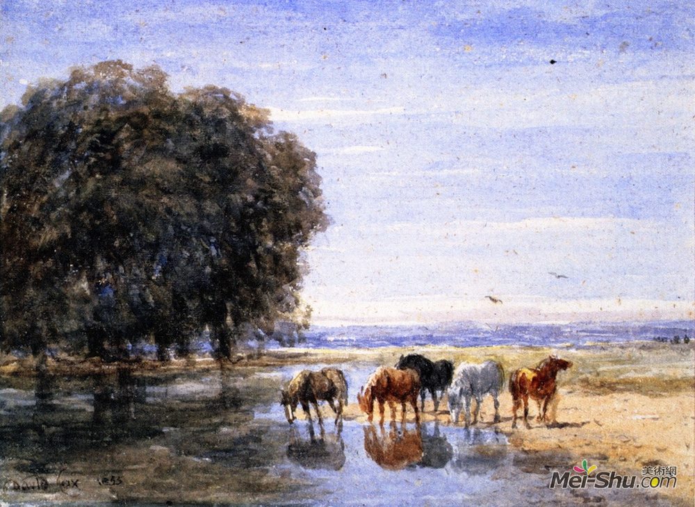 戴维·考克斯(David Cox)高清作品《马饮》