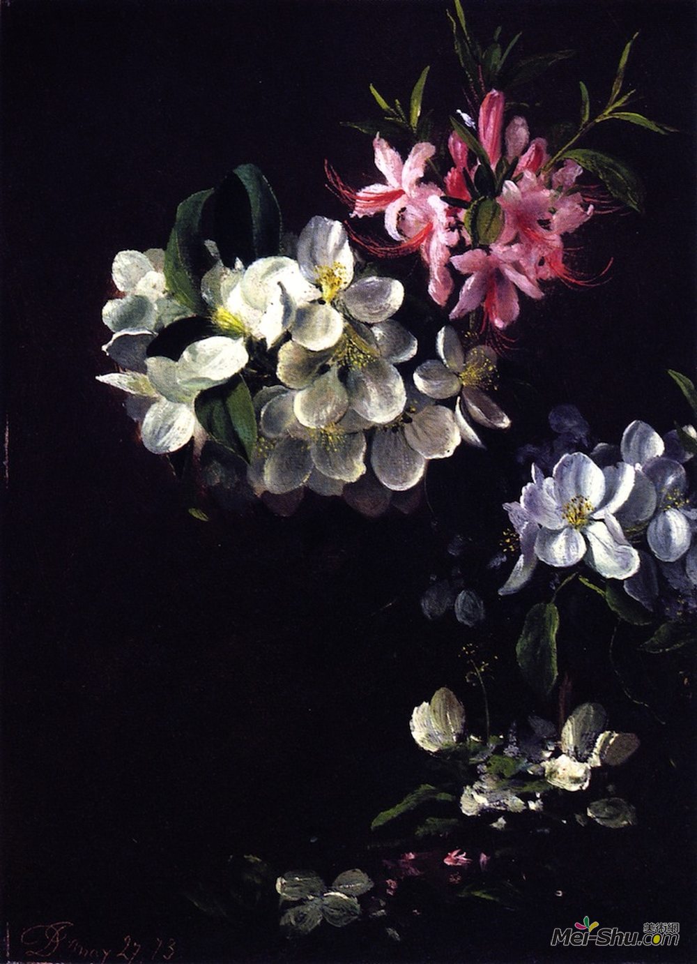 大卫·约翰逊(David Johnson)高清作品《苹果开花剪影与5月花的》