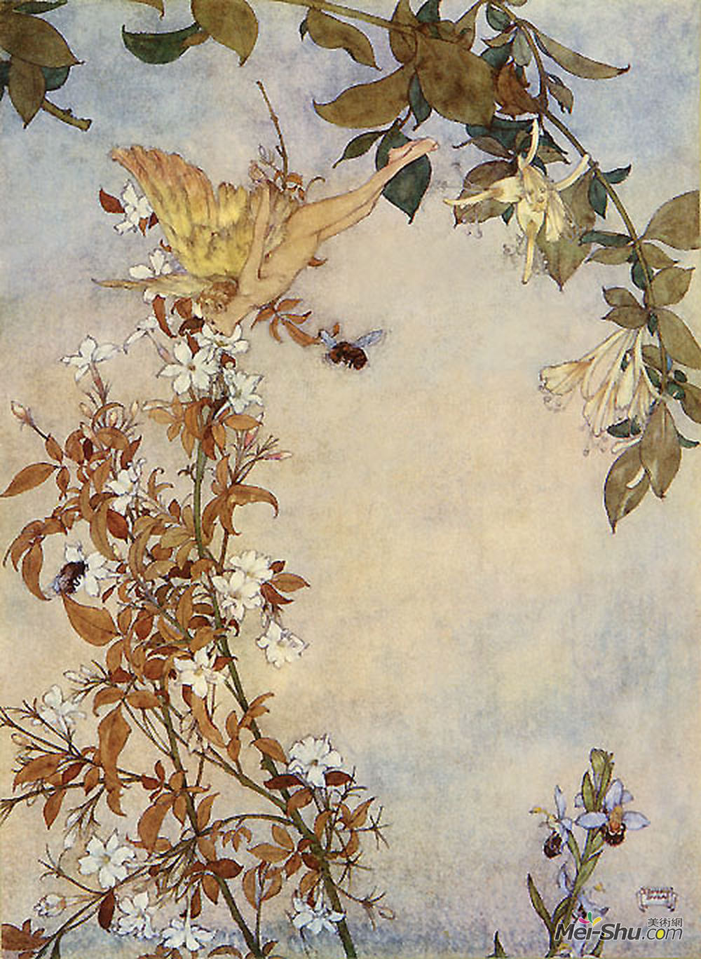埃德蒙·杜拉克(Edmund Dulac)高清作品《暴风雨：艾莉尔与蜜蜂》