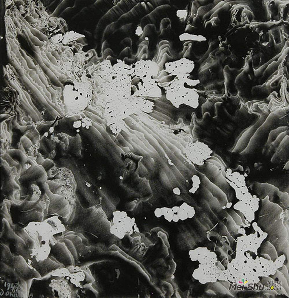 恩里科多纳蒂(Enrico Donati)高清作品《脱脂》