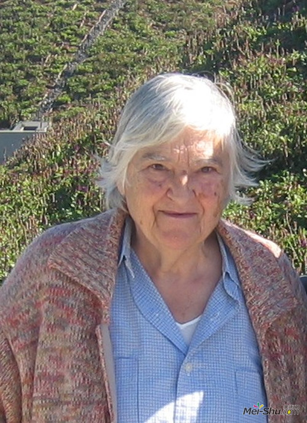 德南(Etel Adnan)