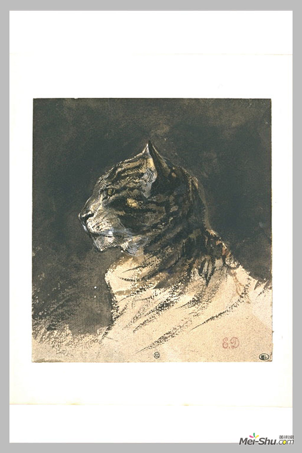 欧仁·德拉克罗瓦(Eugene Delacroix)高清作品《猫头》