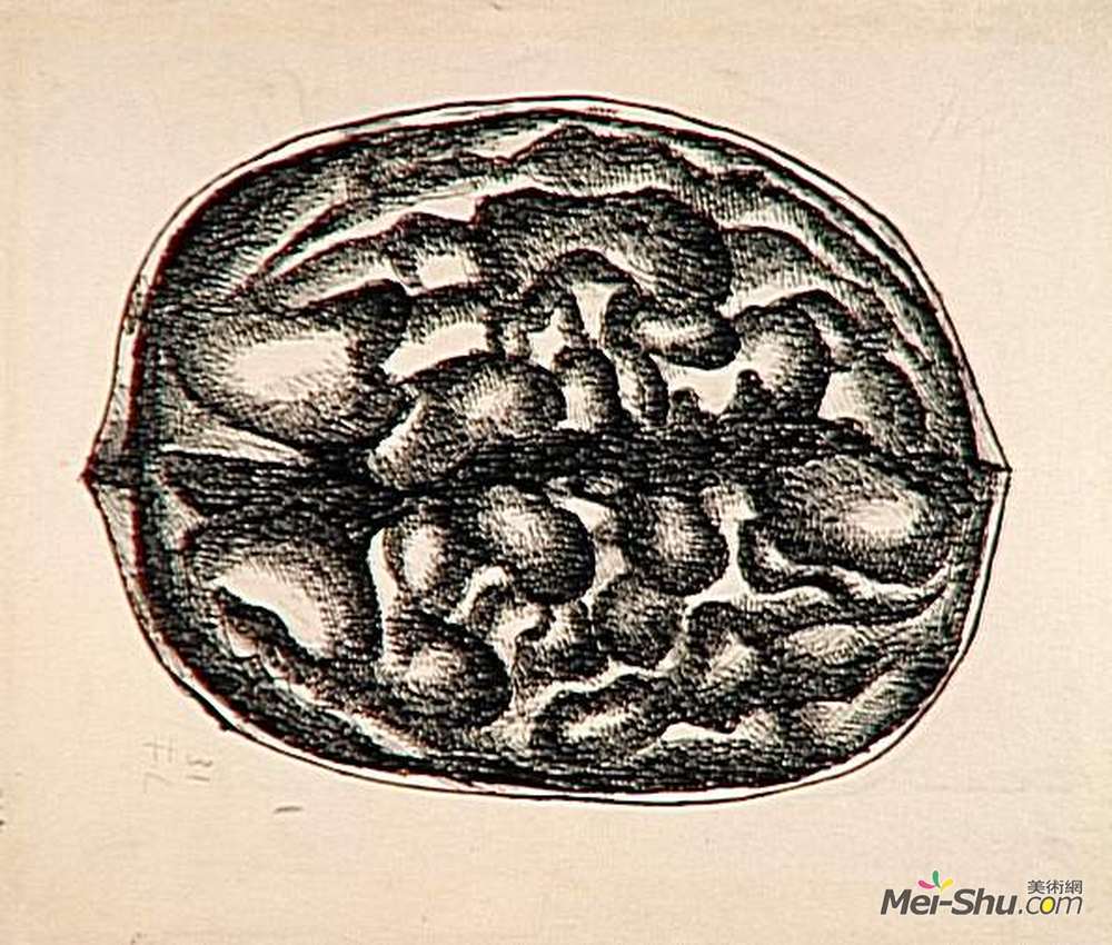 费尔南德·莱热(Fernand Leger)高清作品《研究坚果》