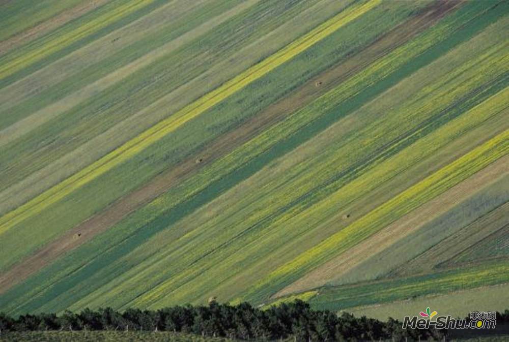 佛朗哥·丰塔纳(Franco Fontana)高清作品《马尔什》