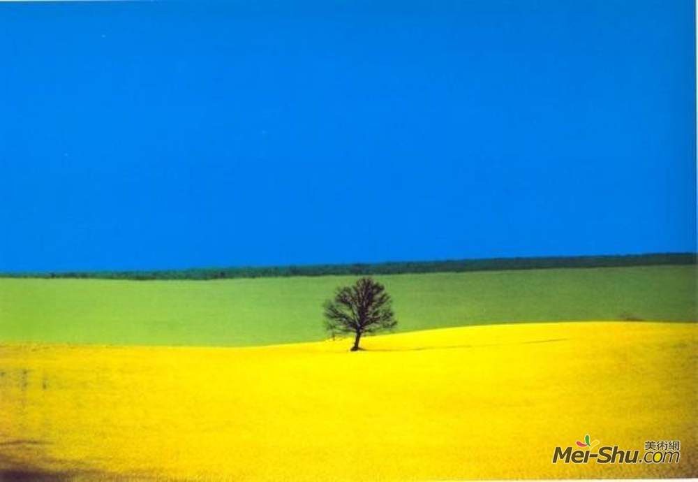 《普利亚》佛朗哥·丰塔纳(franco fontana)高清作品欣赏