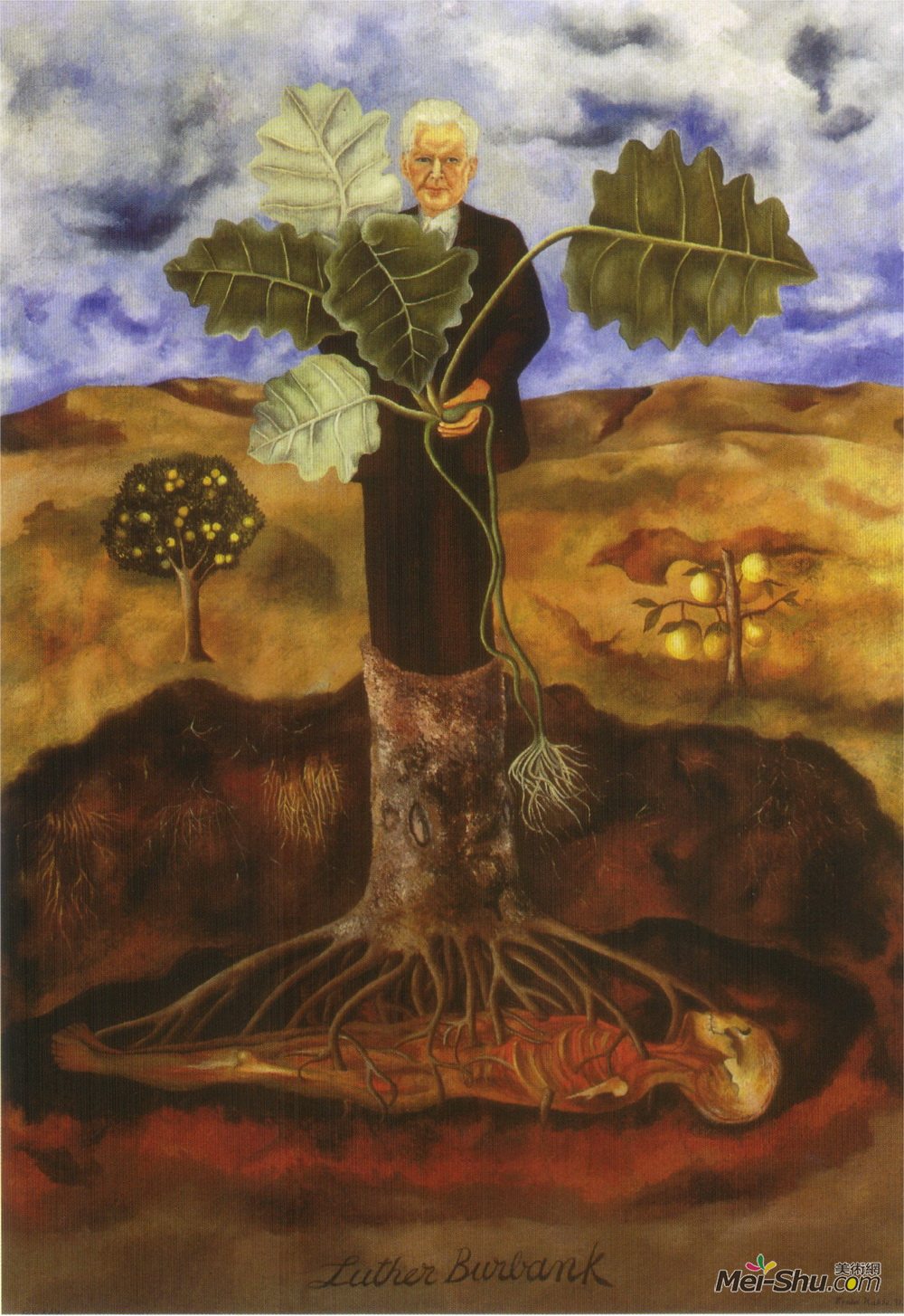 弗里达·卡洛(Frida Kahlo)高清作品《路德伯班克的肖像》