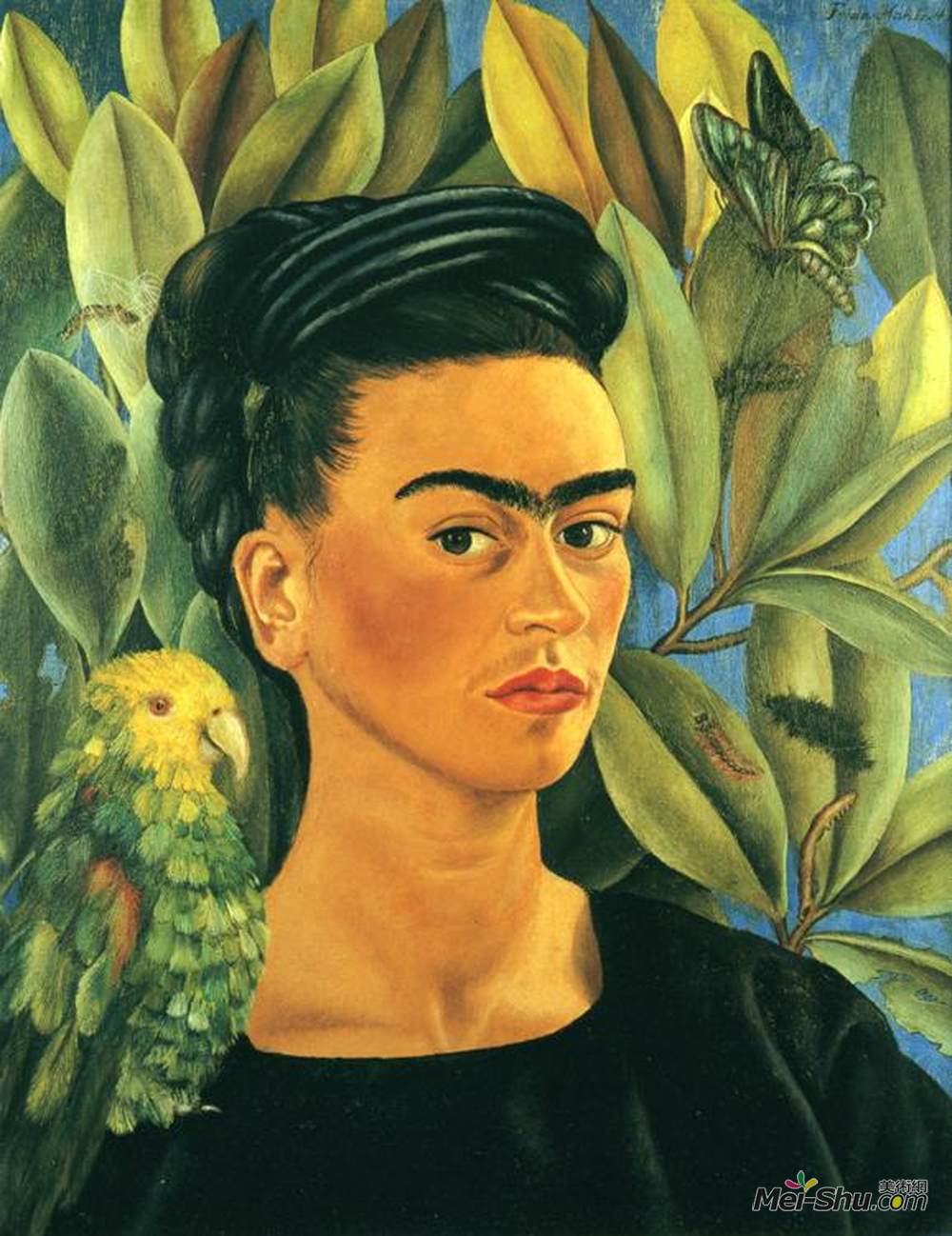 炸弹鱼的自画像弗里达卡洛 Frida Kahlo 高清作品欣赏 弗里达卡洛作品 弗里达卡洛专题网站 艺术大师 美术网 Mei shu com