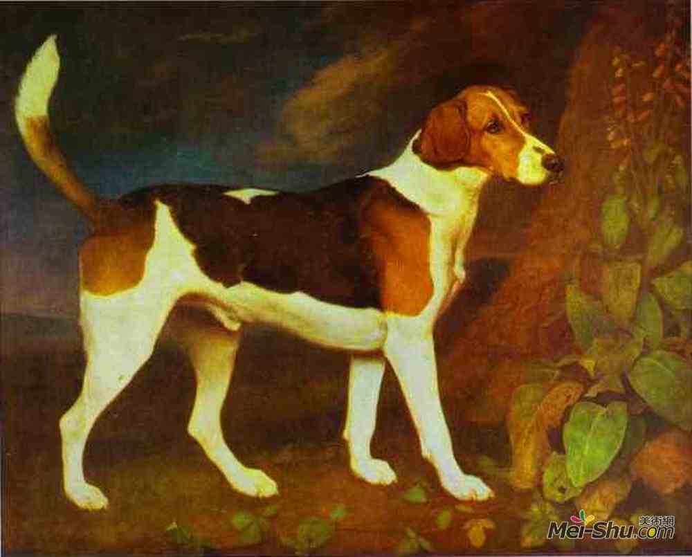 乔治·斯塔布斯(George Stubbs)高清作品《A Foxhound, Ringwod》