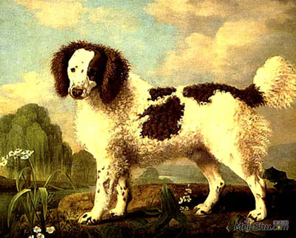 乔治·斯塔布斯(George Stubbs)高清作品《棕色和白色诺福克或水猎犬》